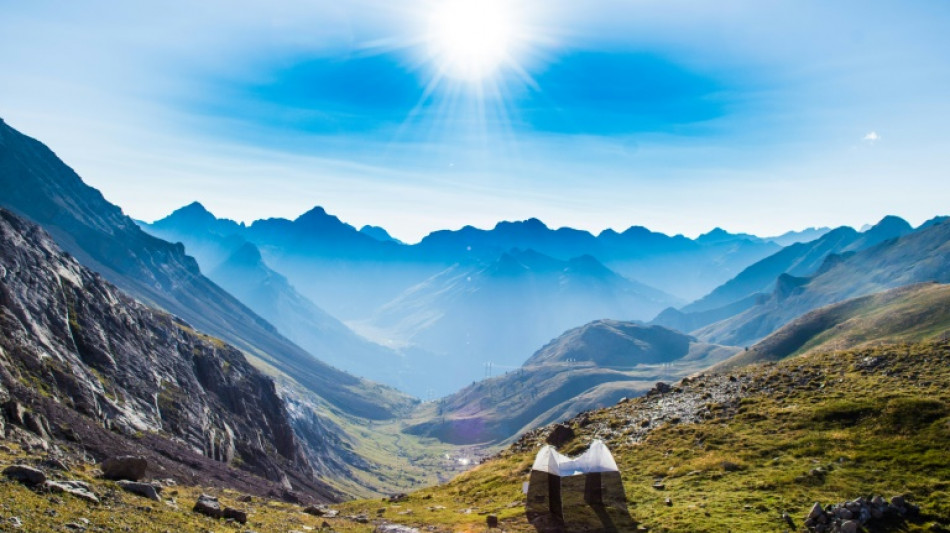 'Magical sight': Mass insect migration in European mountain pass