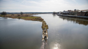 Hochwasser in Brandenburg: Höchste Alarmstufe für weiteren Abschnitt ausgerufen