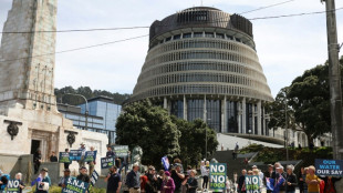 New Zealand farmers protest livestock 'burp and fart' tax