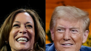 Reta final entre Kamala e Trump, empatados nas pesquisas