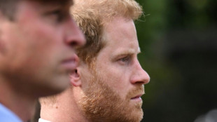 Prince Harry accuses brother William of 2019 physical attack: report