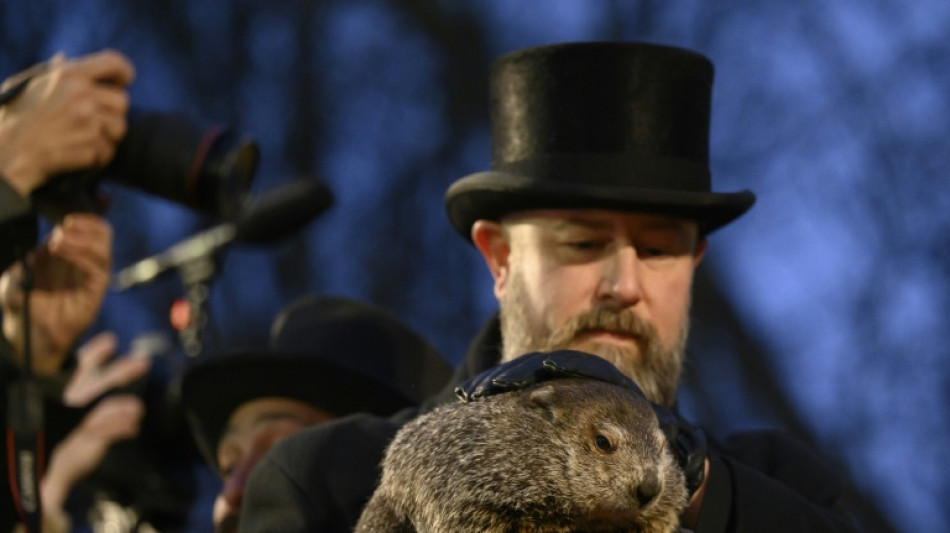 La marmotte météorologue américaine prédit un printemps précoce