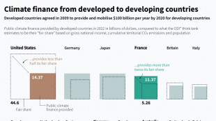 Crunch time: What still needs to be hammered out at COP29?