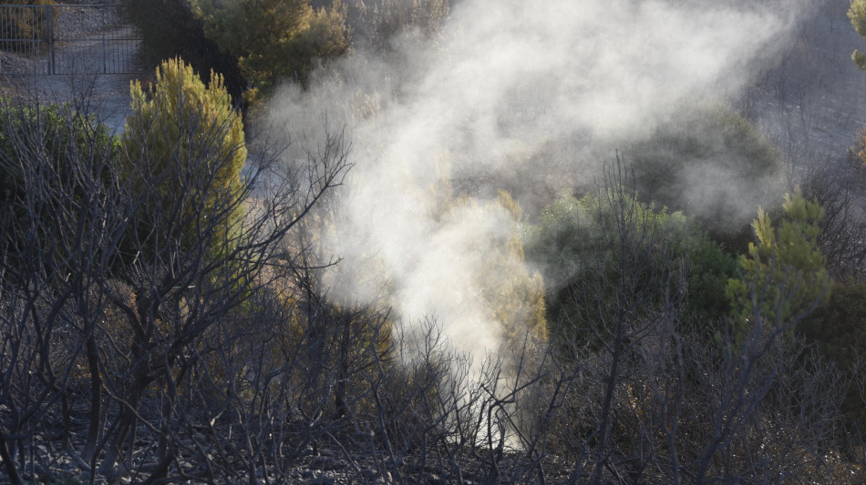 Travolto da albero durante incendio, muore dipendente Arif