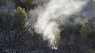 Travolto da albero durante incendio, muore dipendente Arif