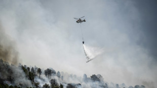 Waldbrände zerstören in Portugal 3000 Hektar Vegetation