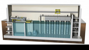 Pichetto, 2,5 miliardi per uno small modular reactor