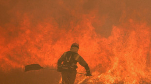 Feuerwehrmann in Spanien bei Einsatz gegen Waldbrand gestorben