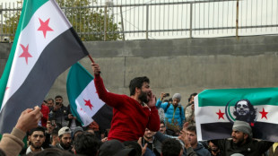 'The revolution has won': Syrians in Iraqi Kurdistan celebrate Assad's fall