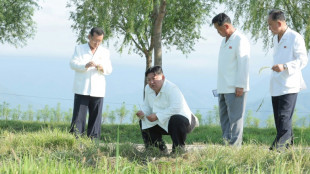 Kim Jong Un visite les exploitations touchées par la tempête, dans un contexte de pénuries