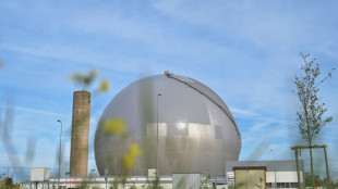 Frankreich will Genehmigungsverfahren für Bau neuer Atomkraftwerke beschleunigen