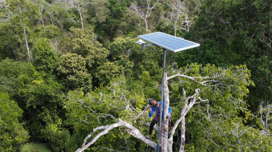  L'intelligenza artificiale in soccorso dell'Amazzonia 