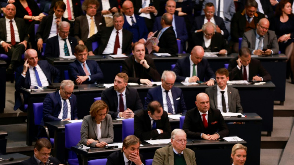 AfD scheitert mit Eilantrag auf vorläufige Ausschussvorsitzende in Bundestag