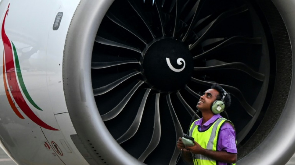 Ratte in Airbus bringt Flugverkehr in Sri Lanka durcheinander