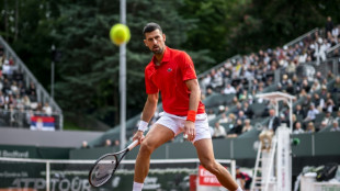 Roland-Garros: à quoi joue Djokovic ?