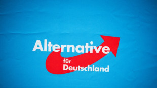 AfD geht in Berufung gegen Kölner Verfassungsschutz-Urteil