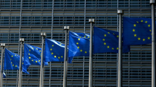 Europäischer Gerichtshof urteilt zu Aussetzung von Abschiebungen wegen Pandemie