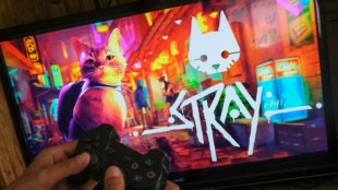 "Stray", le jeu vidéo dont raffolent les chats