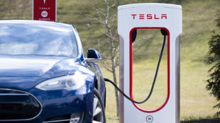 Musk gives Ford access to Tesla's US chargers