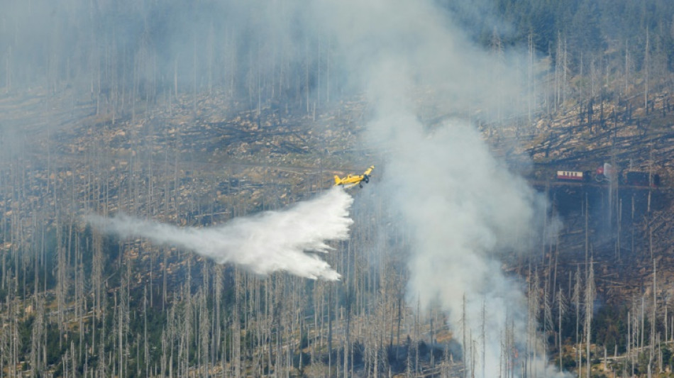 Waldbrand am Brocken: Helfer wollen Feuer am Sonntag unter Kontrolle bekommen