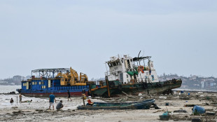 Typhoon Yagi weakens, toll rises to 14 in Vietnam