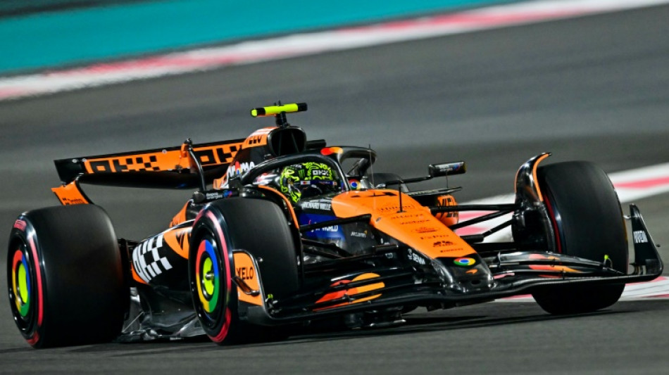 McLaren's Norris takes pole for Abu Dhabi Grand Prix 