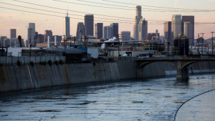 Los Angeles suing Monsanto for chemicals in waterways