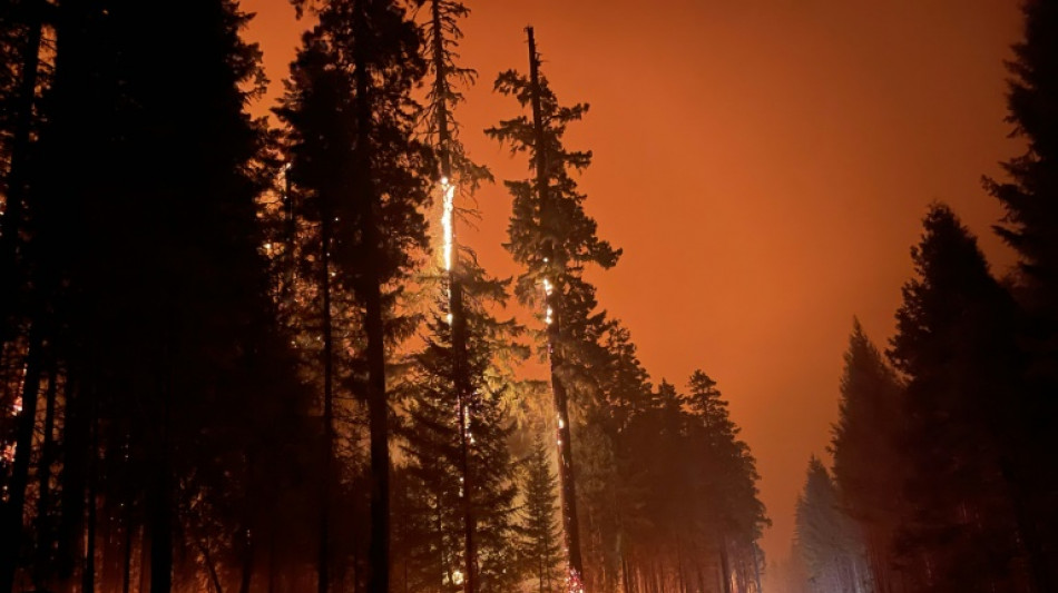 Deutsche Tageszeitung Un gran incendio forestal continúa su avance en