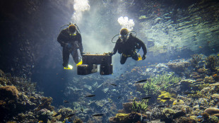 Peggior sbiancamento di sempre per la Grande barriera corallina