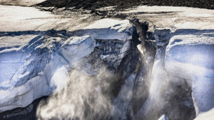 Dépasser 1,5°C de réchauffement pourrait déclencher des points de non-retour climatiques (étude)