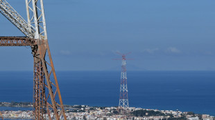 Società, 'Ponte stretto tra più sismicamente sicuri nel mondo'