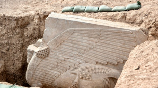 Iraq dig unearths 2,700-year-old winged sculpture largely intact