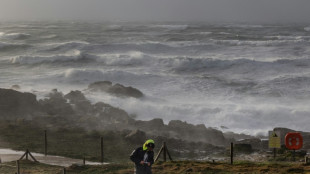 Tempête Darragh: la circulation des trains perturbée sur tout le littoral ouest