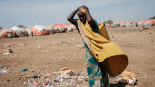 24 afrikanische Staaten erinnern Industrieländer an ihre Klimahilfen-Zusagen