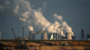 Niederlande heben wegen Energiekrise Beschränkungen für Kohlekraftwerke auf