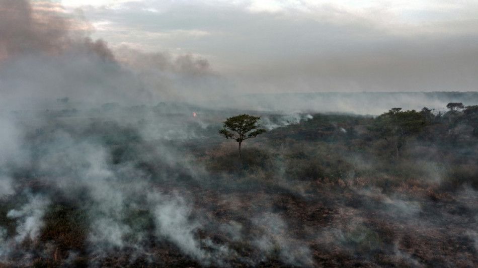 Desmatamento na Amazônia caiu 59% em setembro