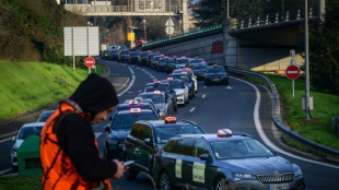 Transport des malades: plusieurs centaines de chauffeurs de taxi manifestent autour de Lyon