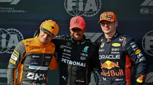 Lewis Hamilton (Mercedes) conquista pole position do GP da Hungria de F1