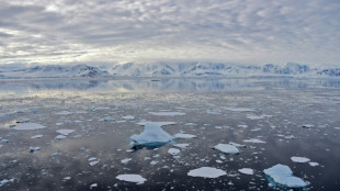Experten vermelden Rekordtemperaturen in der Antarktis
