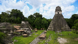 Da Amazônia à selva maia: Colômbia e Guatemala se unem para preservar a natureza