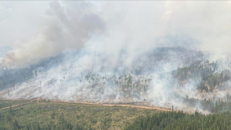 Deutsche Tageszeitung - Canada wildfires burn over 10 mn hectares this year