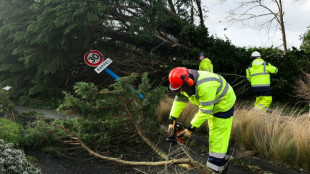 Las aseguradoras estiman en 1.300 millones de euros los daños en Francia por las tormentas