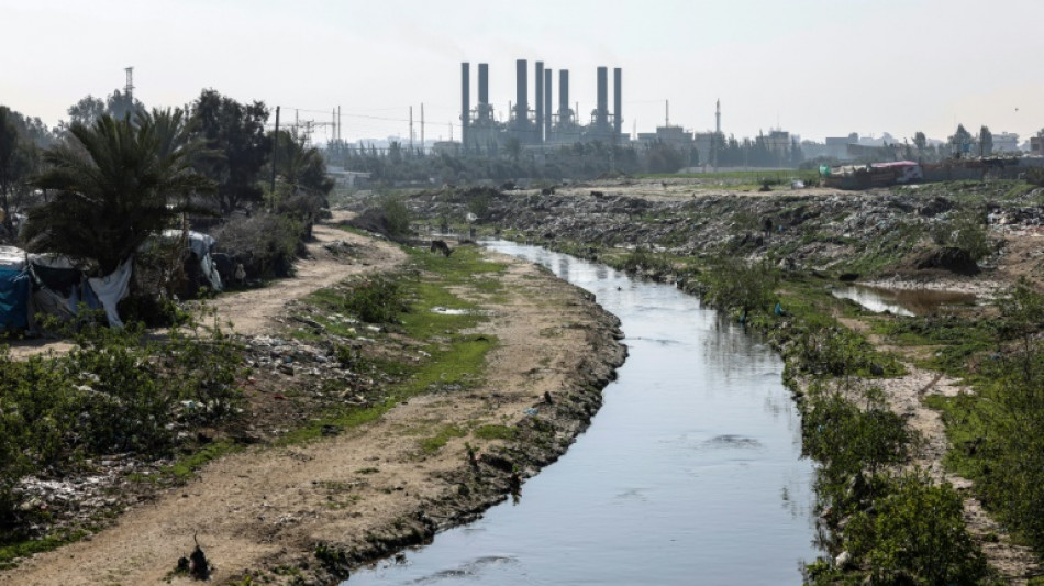 Pollution clean-up aims to create Gaza's first nature reserve