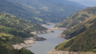 Seca e incêndios no Equador atingem 40.000 hectares de plantações