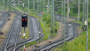 Falke verirrt sich in Hamburger S-Bahn-Tunnel - Kurzfristige Sperrung