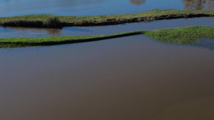 In Sicilia segni della mega alluvione che riempì il Mediterraneo