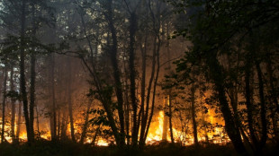 Feu "fixé" ou "maîtrisé"? Glossaire de la lutte contre les incendies