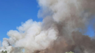 Frankreich und Portugal kämpfen erneut mit Waldbränden