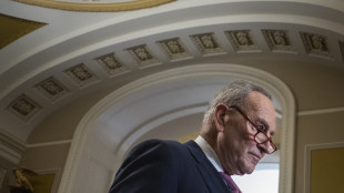 Chuck Schumer loda Biden, un vero patriota