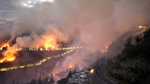 Ligan contaminación del aire por incendios a 1,5 millones de muertes anuales